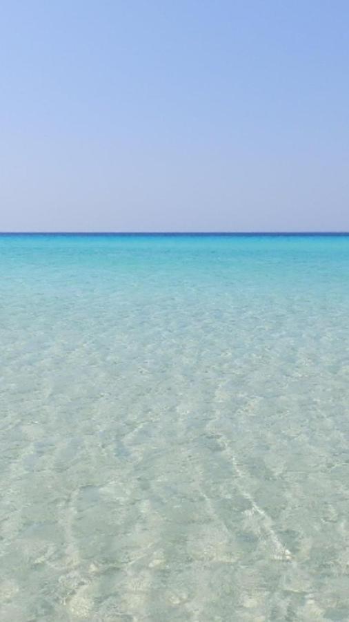 Legacy Lux By The Airport & Beach Αρτέμιδα Εξωτερικό φωτογραφία
